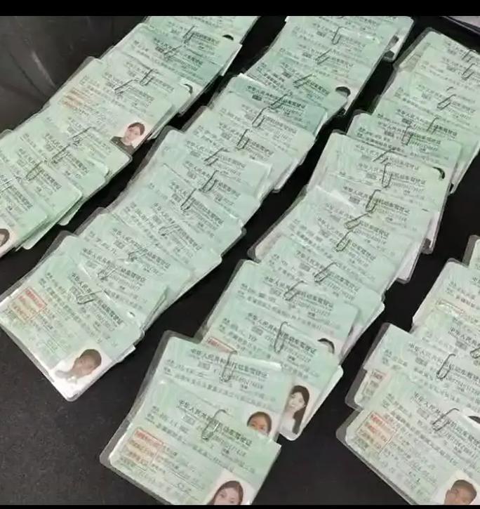 机动车驾驶员培训 从入门到精通的职业之路