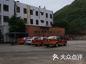 阳江学车新选择 新振阳机动车驾驶员培训公司课程、价格与简介全解析